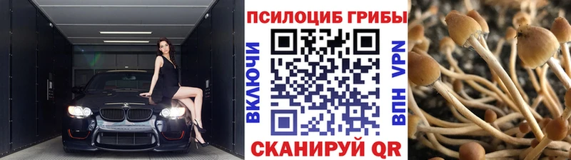Псилоцибиновые грибы прущие грибы  Иркутск 