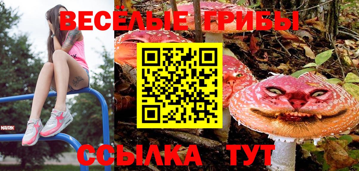 Иркутск  Галлюциногенные грибы Magic Shrooms  Вход с VPN 